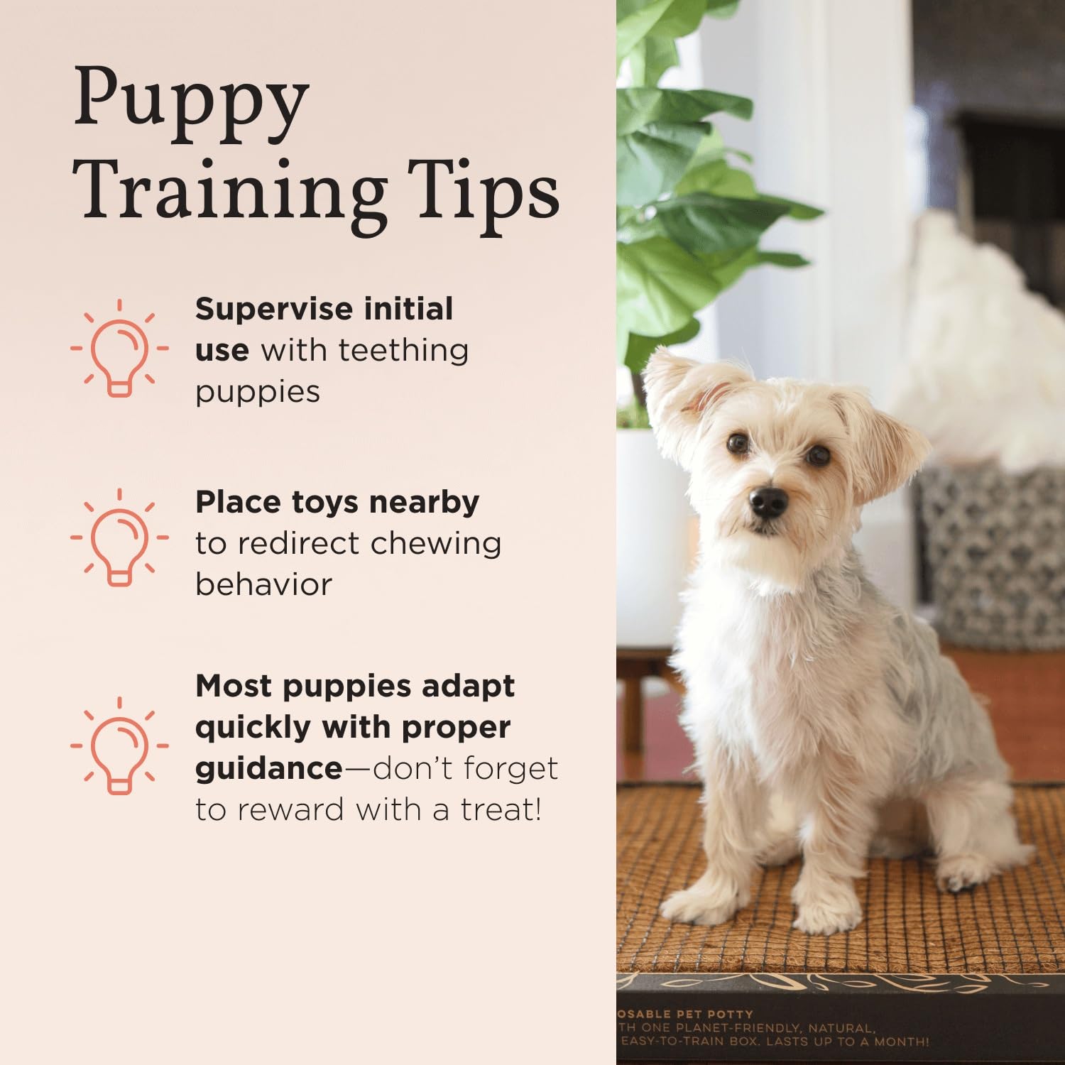 Bark Potty diseño eco-amigable: materiales sostenibles para un hogar responsable.
