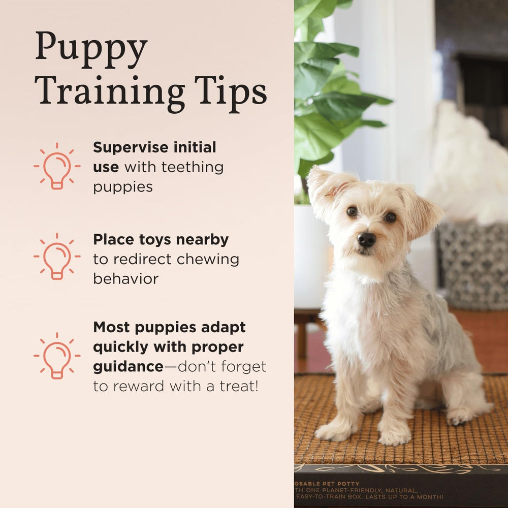 Bark Potty diseño eco-amigable: materiales sostenibles para un hogar responsable.