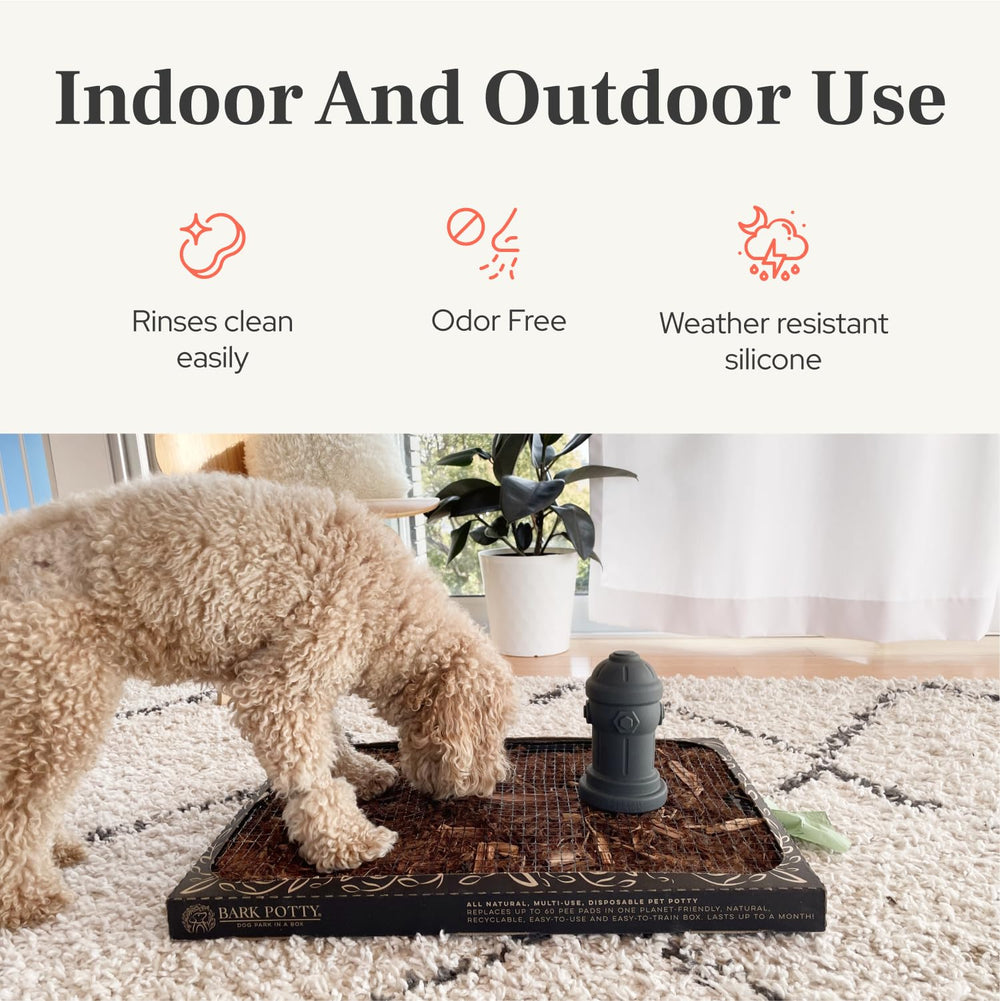 Entrenamiento olfativo Bark Potty para atraer al perro de forma natural.