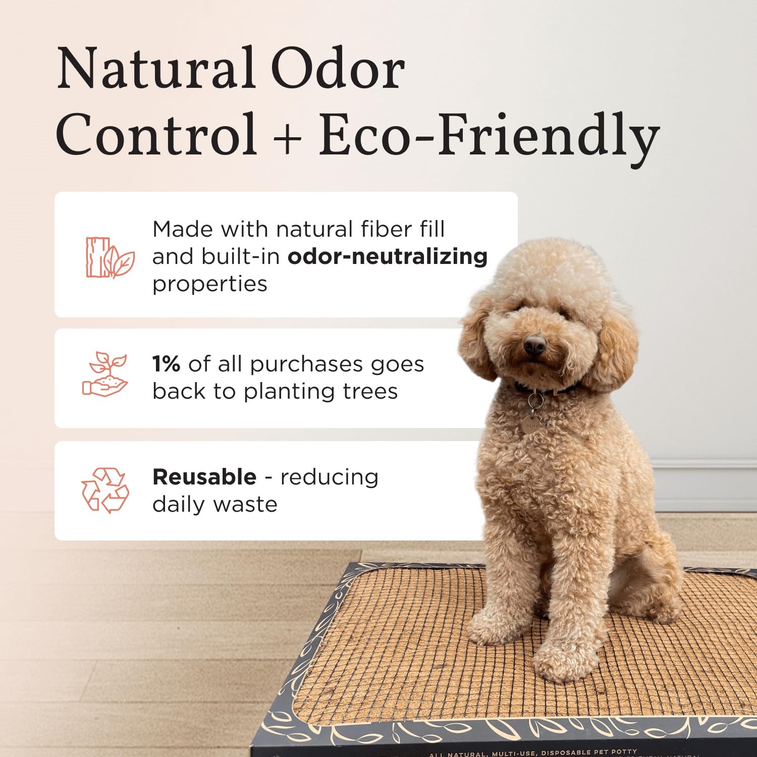 Bark Potty olor neutral para ambientes frescos y limpios con uso diario.