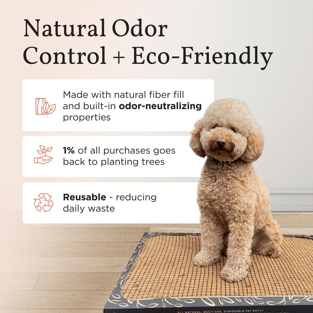 Bark Potty olor neutral para ambientes frescos y limpios con uso diario.