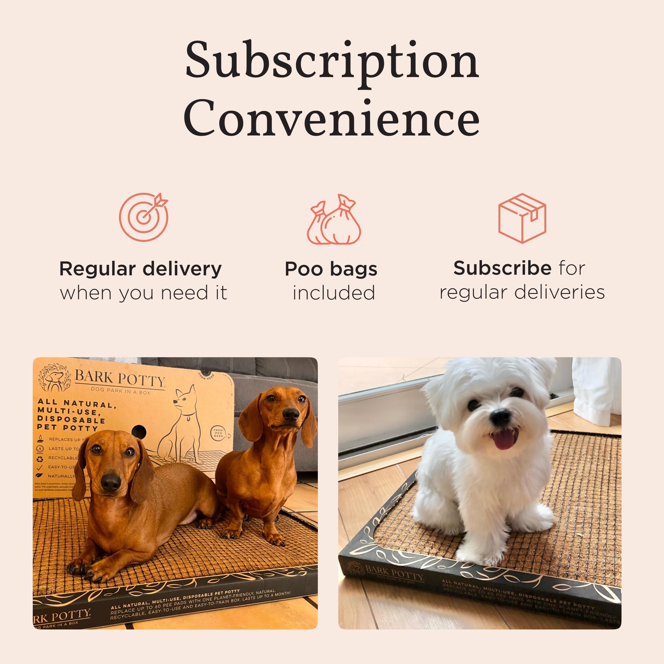 Bark Potty dos tamaños estandar y grande para perros pequeños.