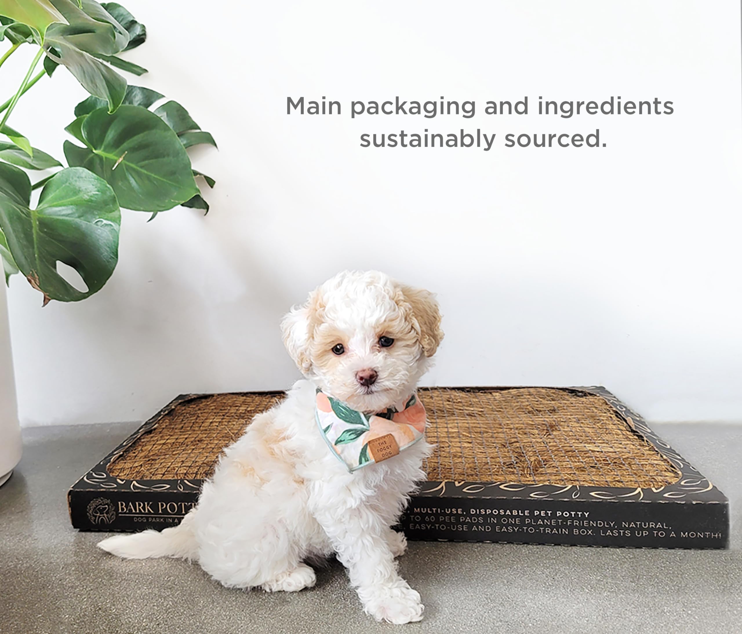 Bark Potty para uso interior y exterior.