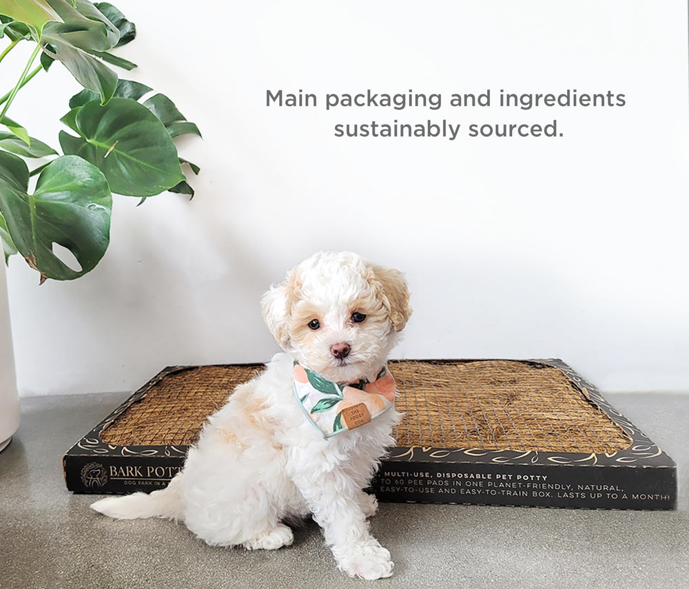 Bark Potty para uso interior y exterior.