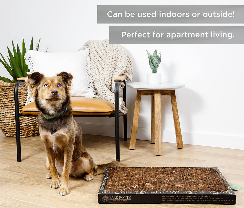 Bark Potty Uso interior y exterior, versátil para espacios reducidos