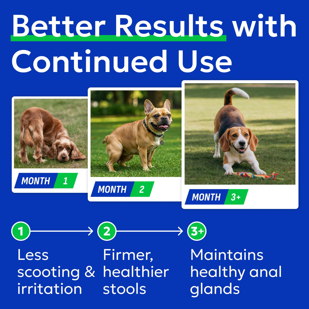 BARK&SPARK prebióticos y enzimas para la digestión diaria del perro.