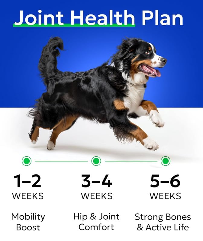 BARK&SPARK fórmula aprobada por veterinarios para articulaciones de perros
