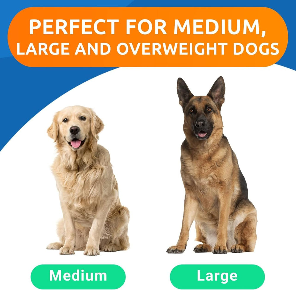 BARK&SPARK fórmula aprobada por veterinarios para articulaciones y flexibilidad