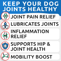 BARK&SPARK ingredientes clave: glucosamina, condroitina y cáñamo para movilidad.