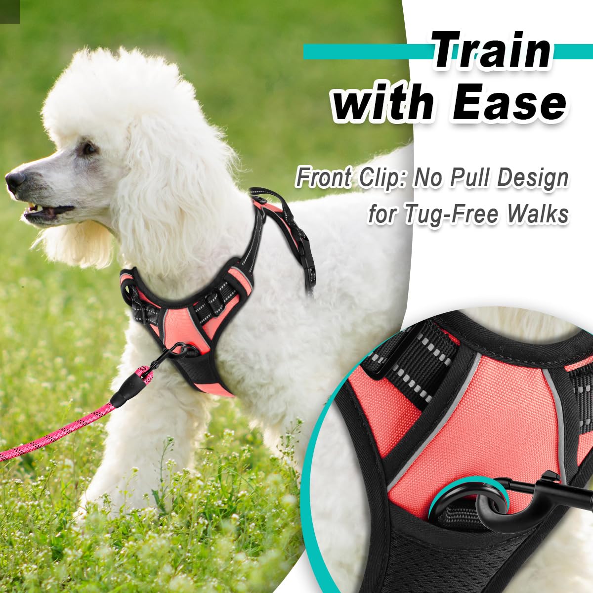 Ajuste ergonómico BarkBAY para un ajuste seguro y cómodo.
