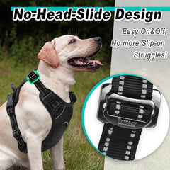 Arnés BARKBAY ajustable, cómodo para perros grandes durante largas caminatas.