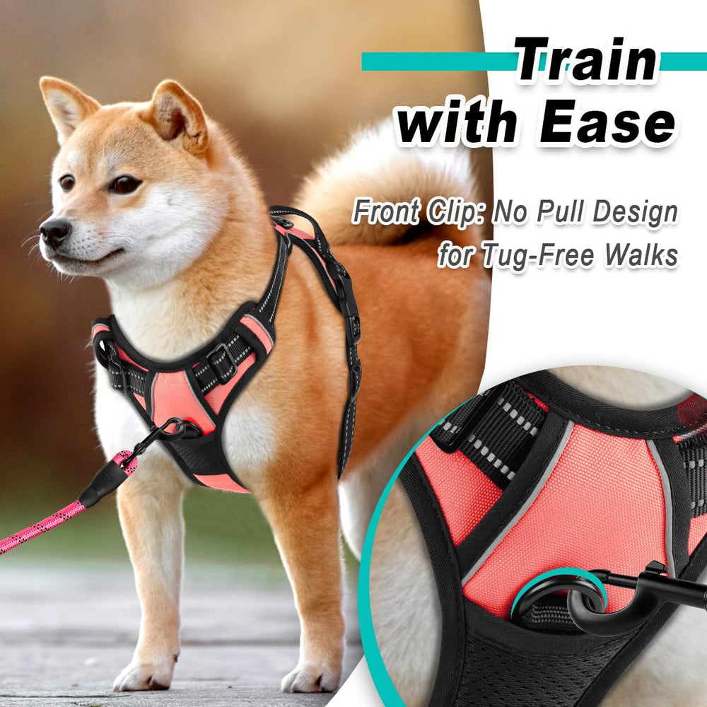 Arnés BarkBay ajustable para perros pequeños, ajuste seguro y cómodo.