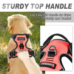 Arnés BarkBay con ajuste de 4 puntos para un ajuste personalizado