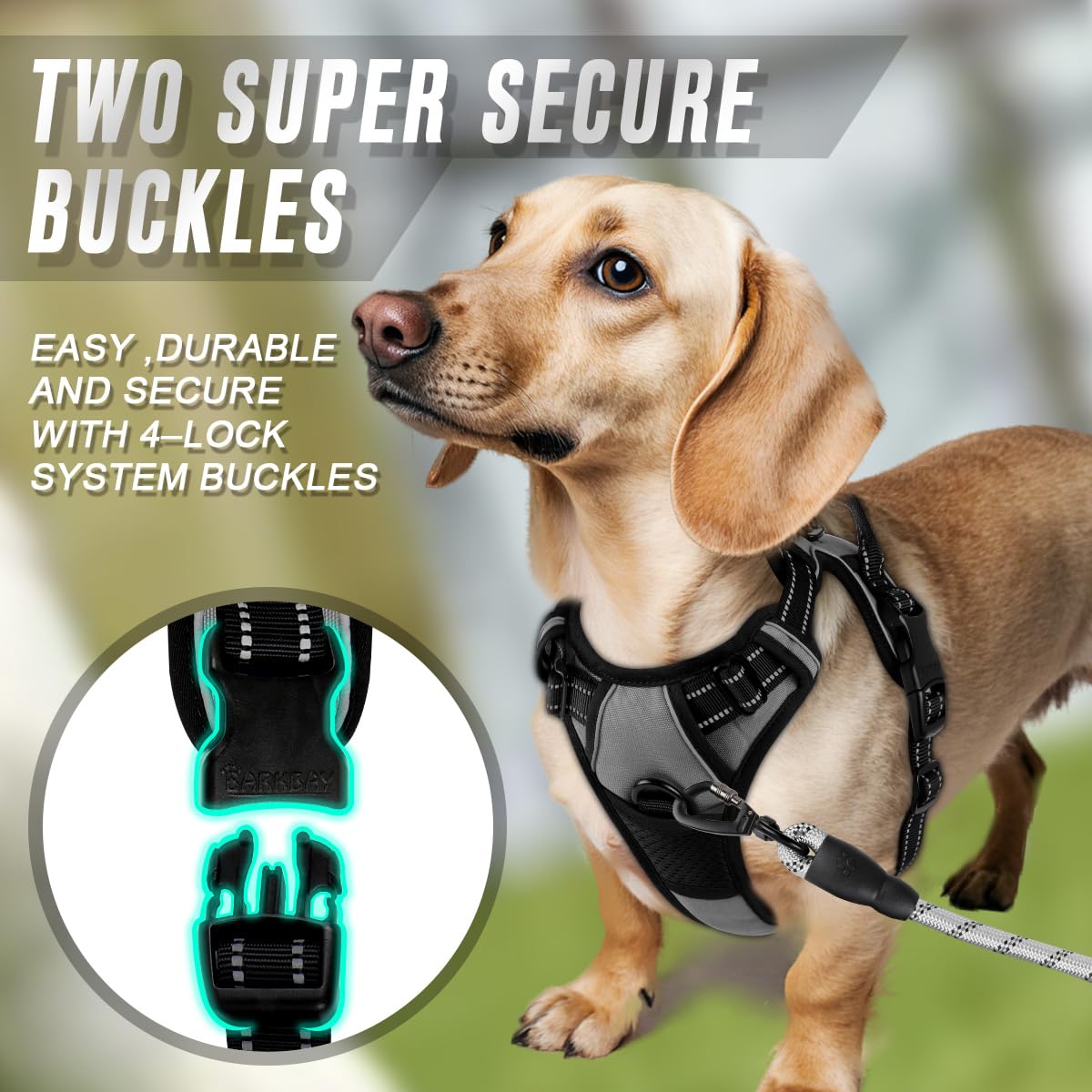 BARKBAY arnés-ajuste-cuatro-puntos ofrece ajuste cómodo y personalizado.