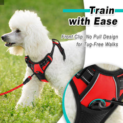 BARKBAY arnés ajuste seguro para perros pequeños durante caminatas
