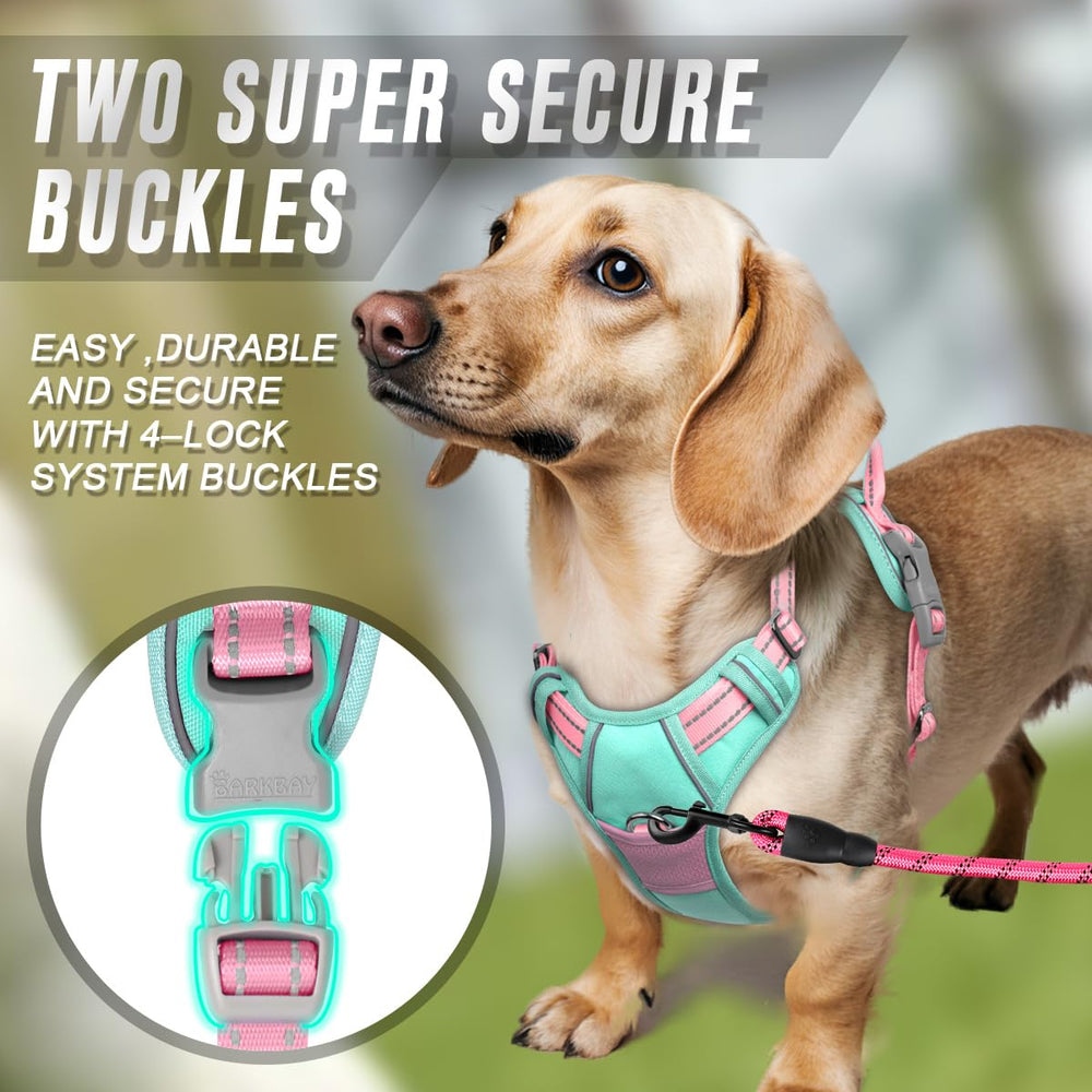 BARKBAY arnés-ajustes-cuatro-puntos garantiza ajuste personalizado para perros grandes
