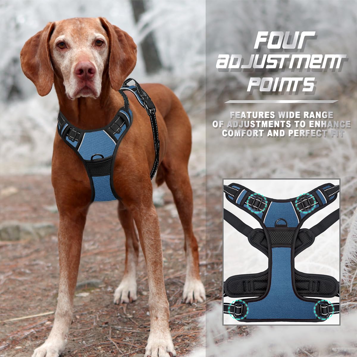 BARKBAY almohadilla anti-fricción para paseos cómodos.