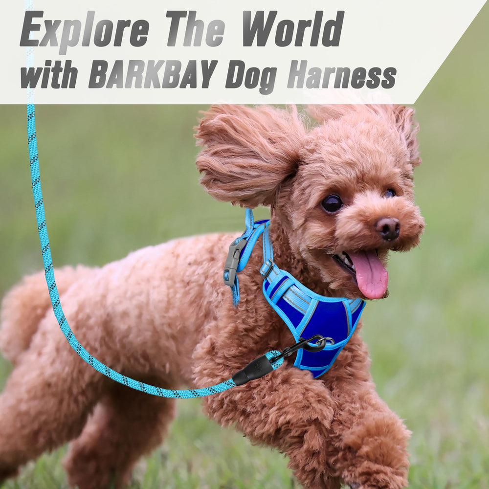 Arnés BarkBay con asa superior para control extra y seguridad durante la caminata.