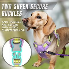 Arnés BARKBAY con asa superior para control adicional y seguridad.