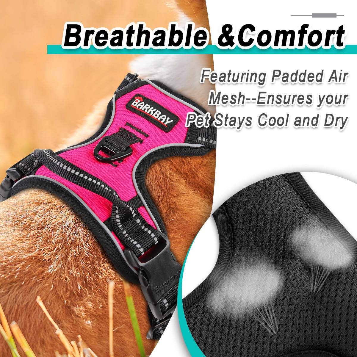 Arnés BarkBAY ideal para paseos y senderismo con apoyo robusto.