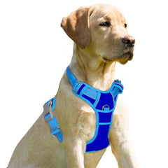 Arnés BARKBAY con clip frontal para control suave durante paseos