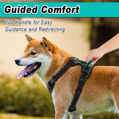Arnés Barkbay conector frontal facilita guía suave al lado