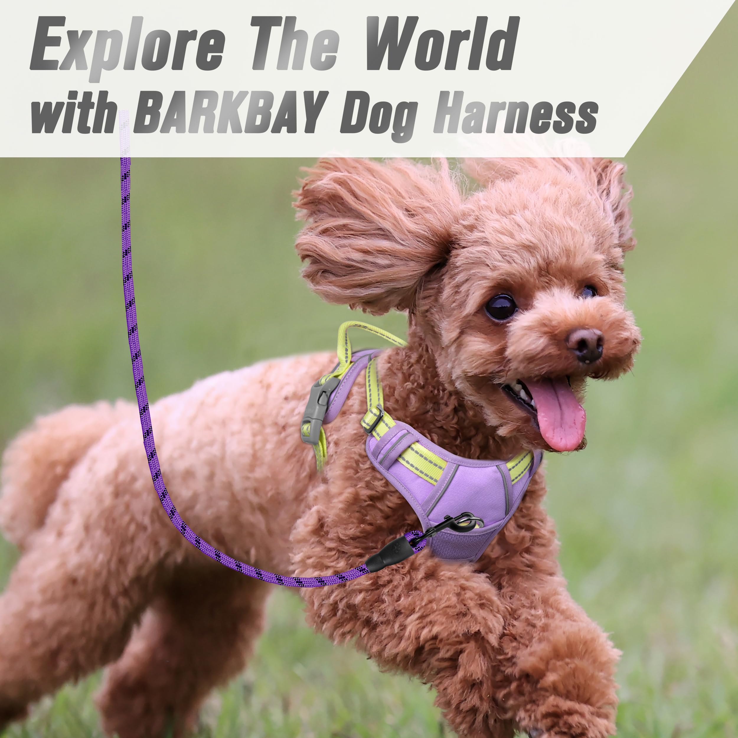 Arnés BARKBAY con cuatro ajustes para un ajuste personalizado.