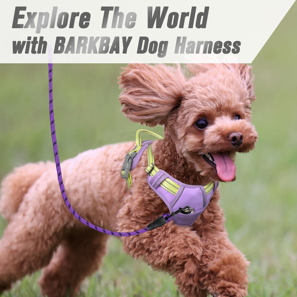 Arnés BARKBAY con cuatro ajustes para un ajuste personalizado.