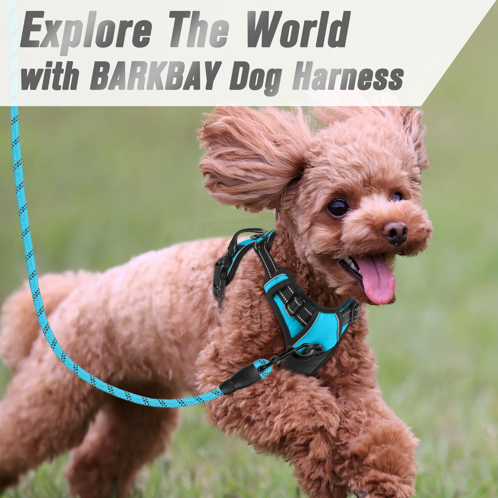 Diseño ligero de BARKBAY pensado para perros grandes y fácil de poner