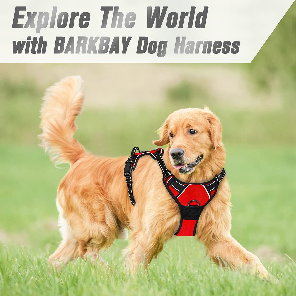 Diseño resistente BarkBay que resiste tirones en salidas largas