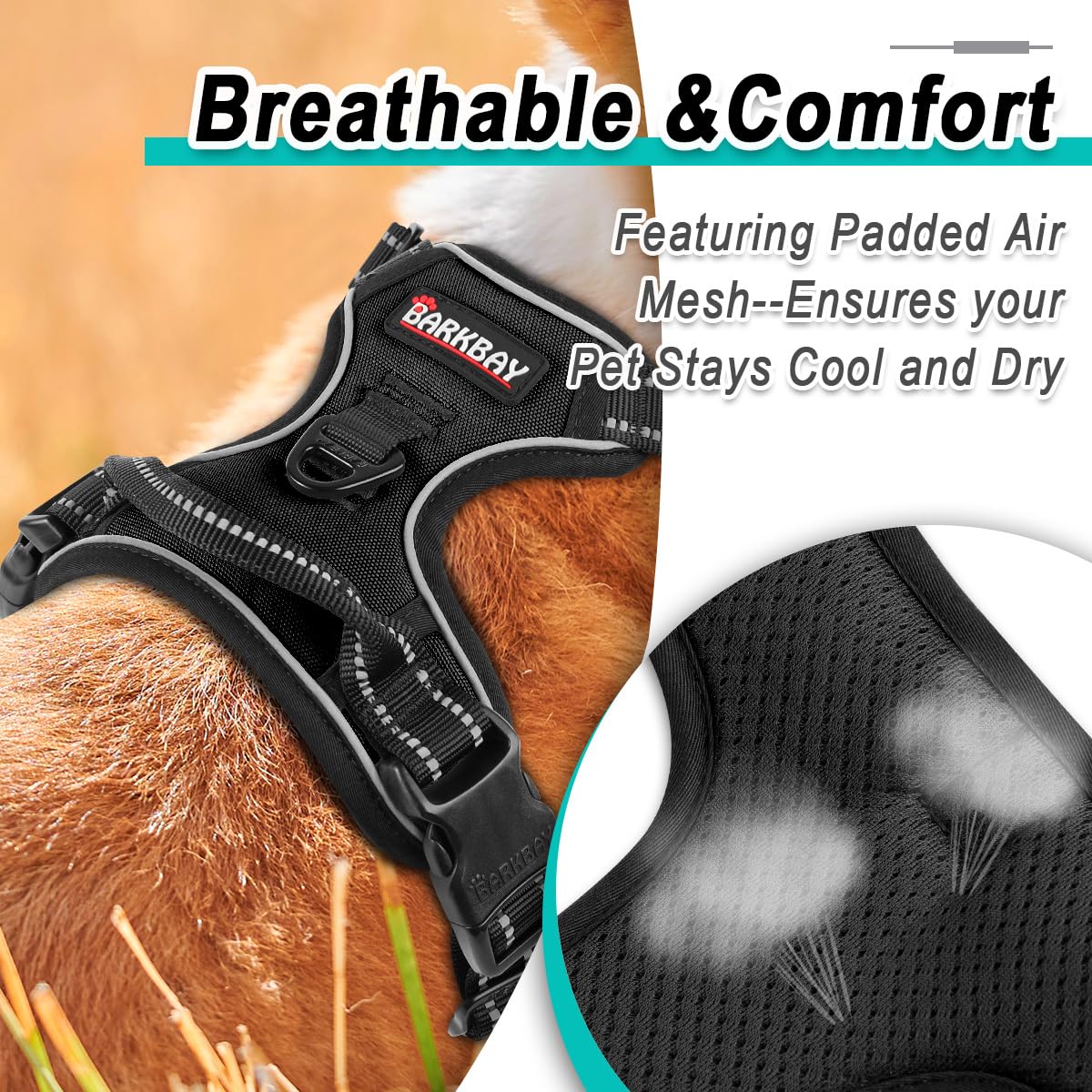 BARKBAY arnés ideal para entrenamiento y exploración al aire libre.