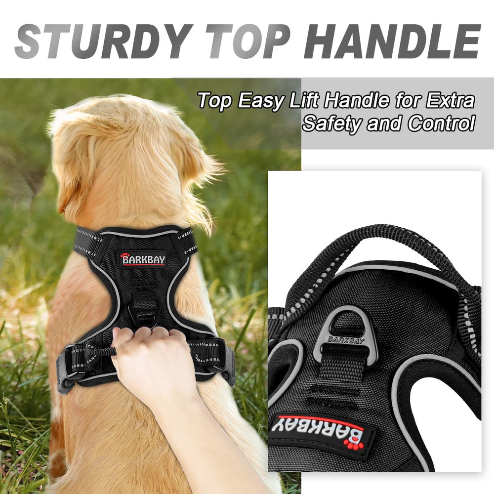 Arnés BARKBAY con dos puntos de anclaje para paseos seguros.