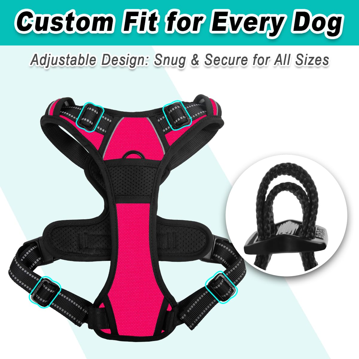Arnés BarkBAY duradero diseñado para uso al aire libre y aventura.