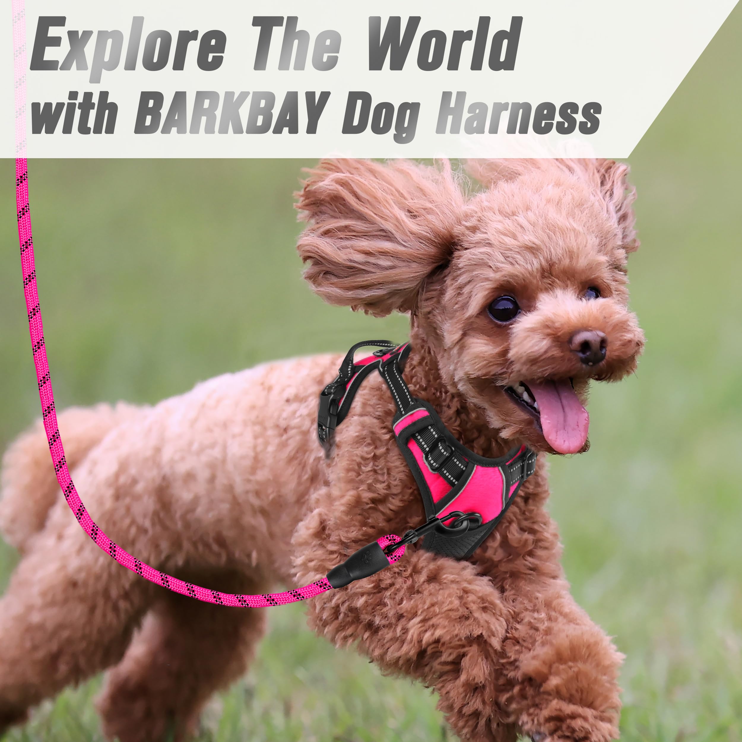 BARKBAY arnés rosa vibrante para caminatas con estilo