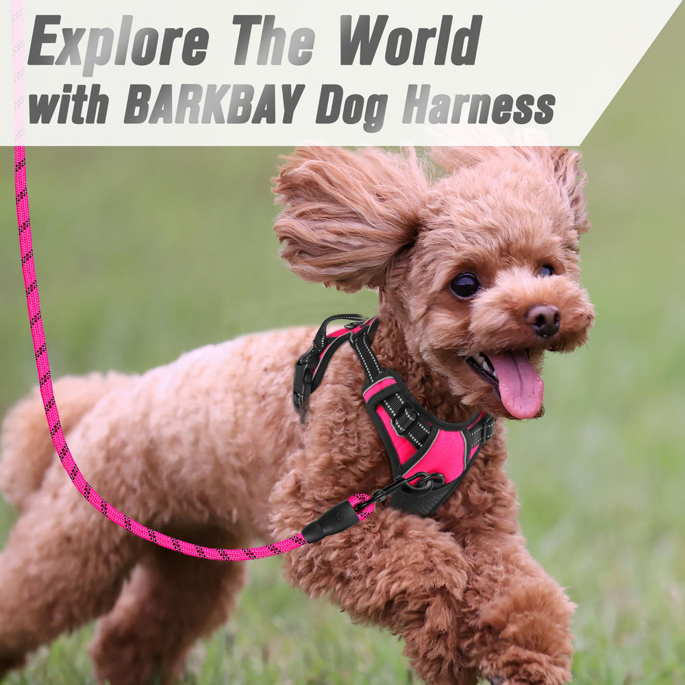 BARKBAY arnés rosa vibrante para caminatas con estilo