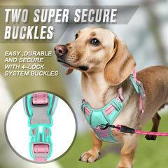 Arnés Barkbay fácil de ponerse para sesiones de paseo rápidas.