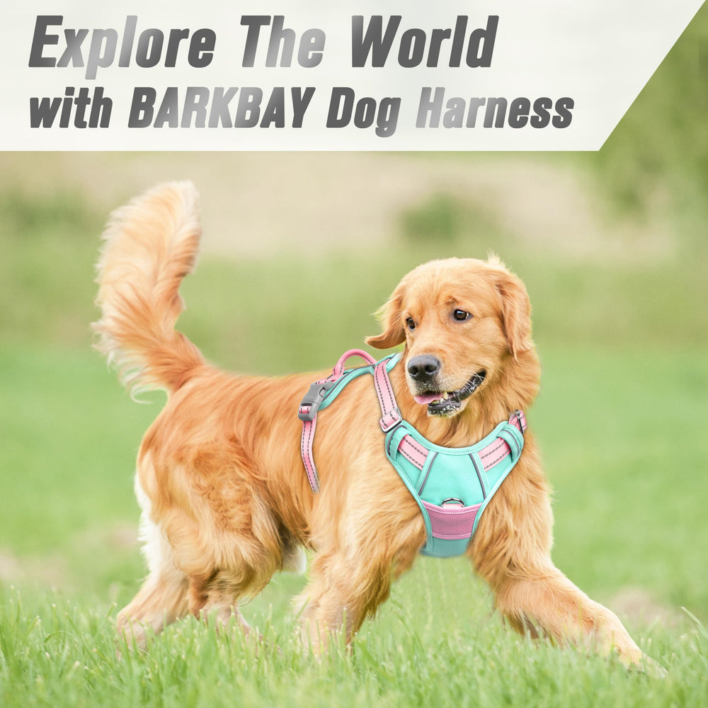 BARKBAY arnés fácil de poner y quitar en segundos