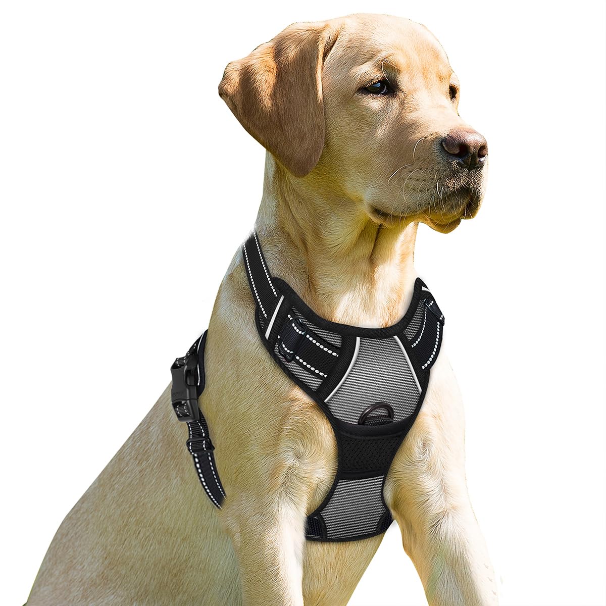 BARKBAY arnés-frente-clip ideal para control suave durante paseos.