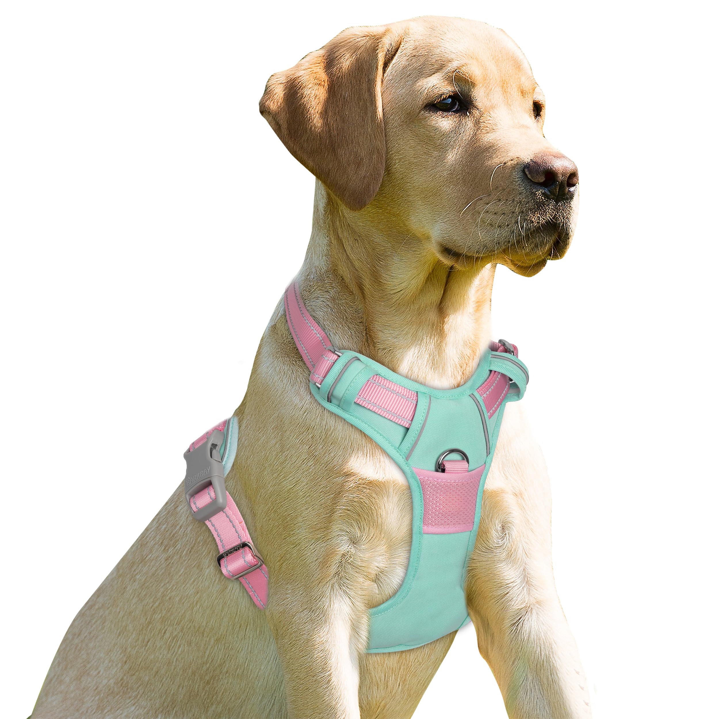 BARKBAY arnés con clip frontal para control suave durante paseos largos