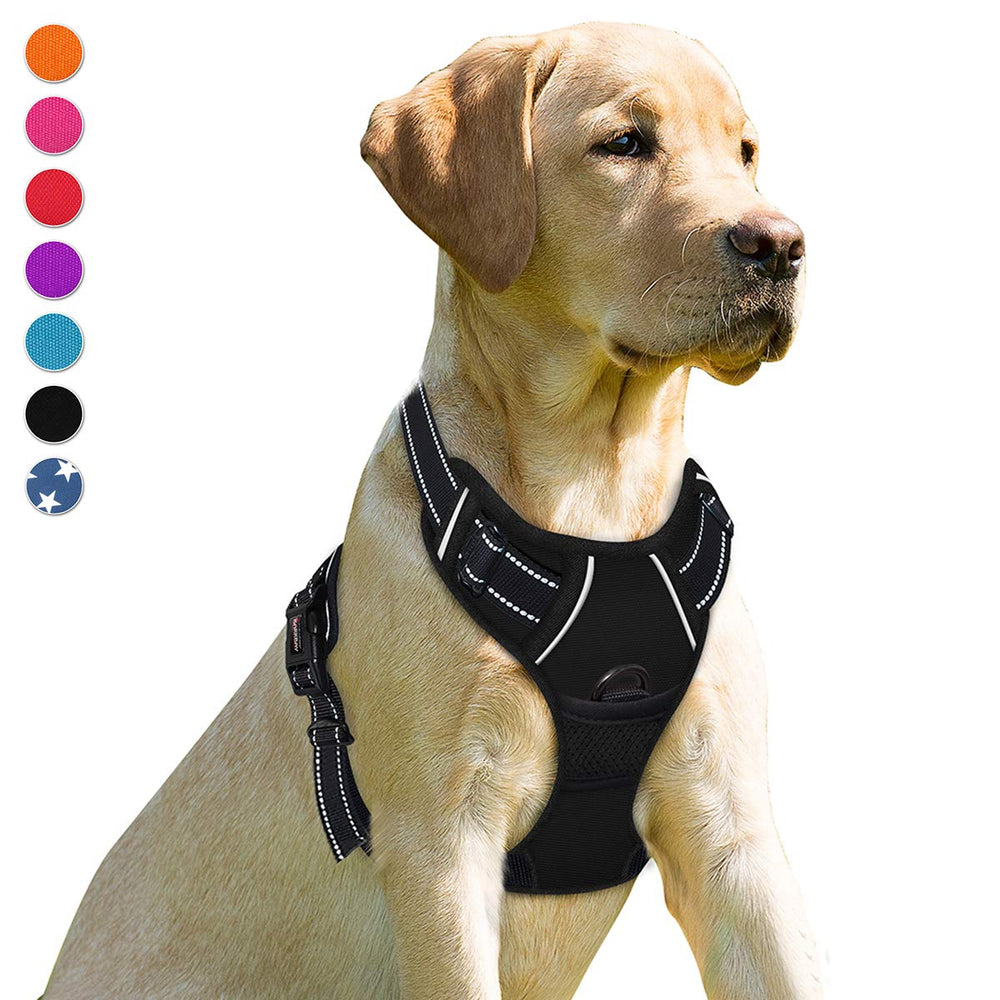 Arnés Barkbay con enganche frontal para mayor control durante paseos.