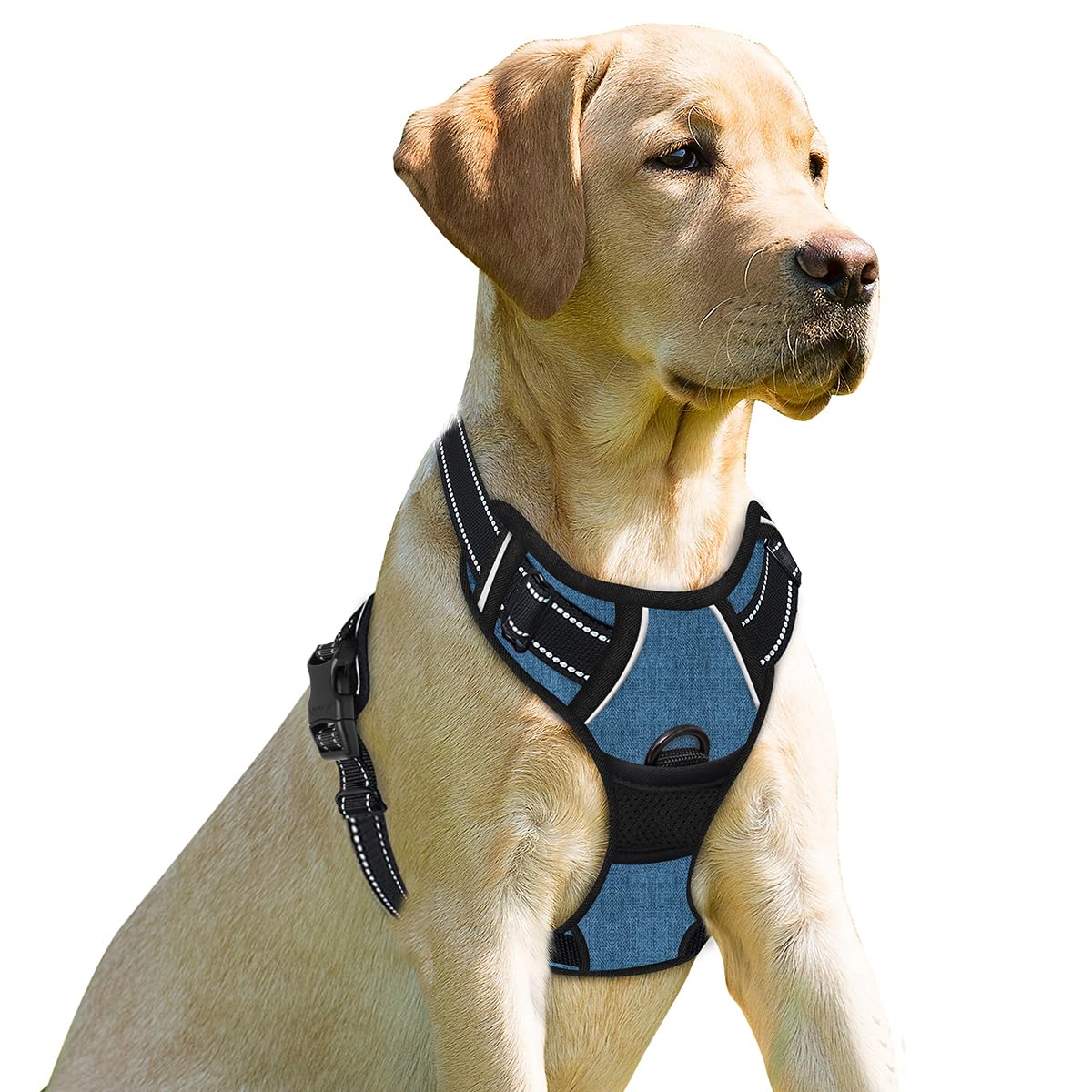 Arnés Barkbay frontal para perros grandes, control suave durante caminatas nocturnas.