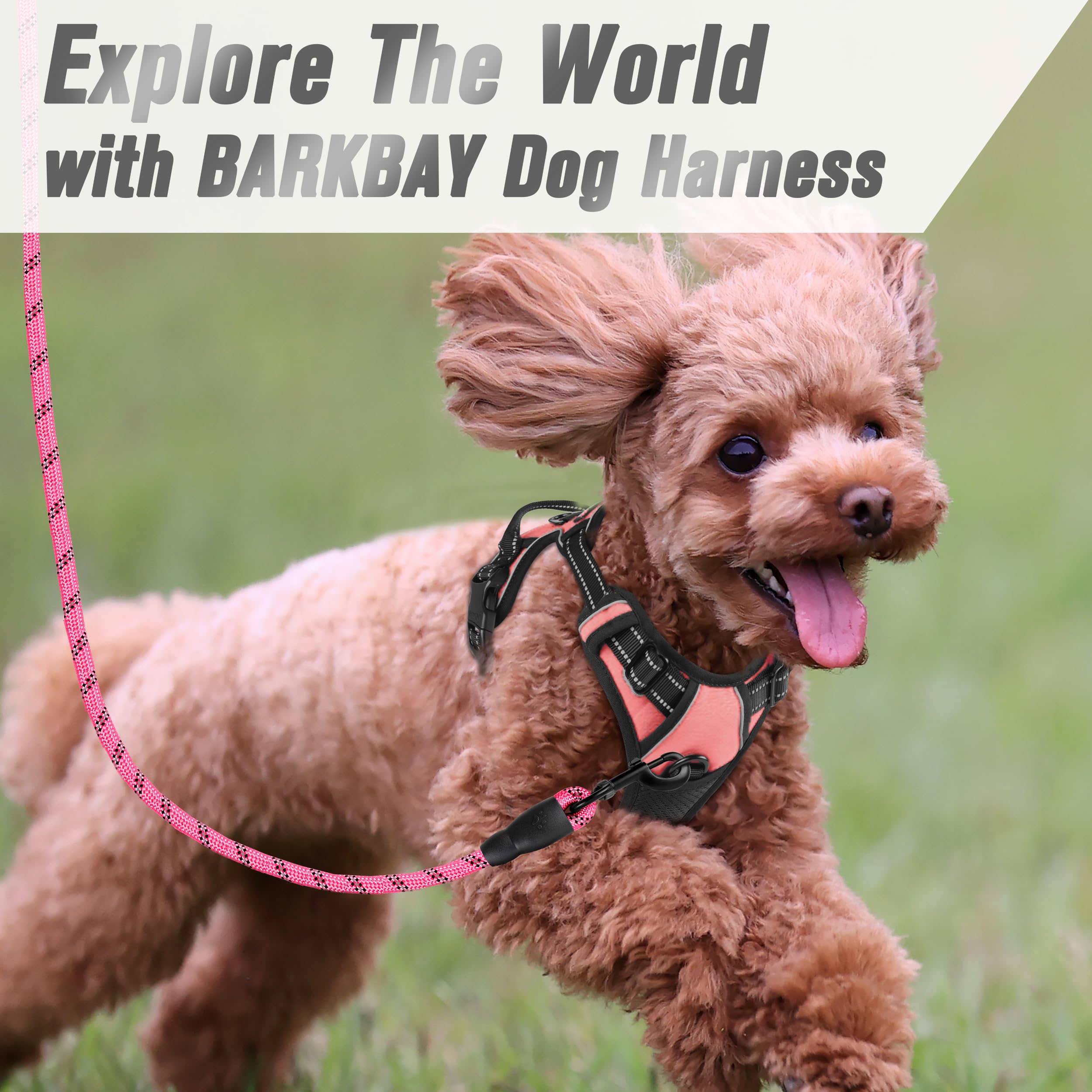 BARKBAY arnés fácil de colocar para uso diario sin complicaciones.