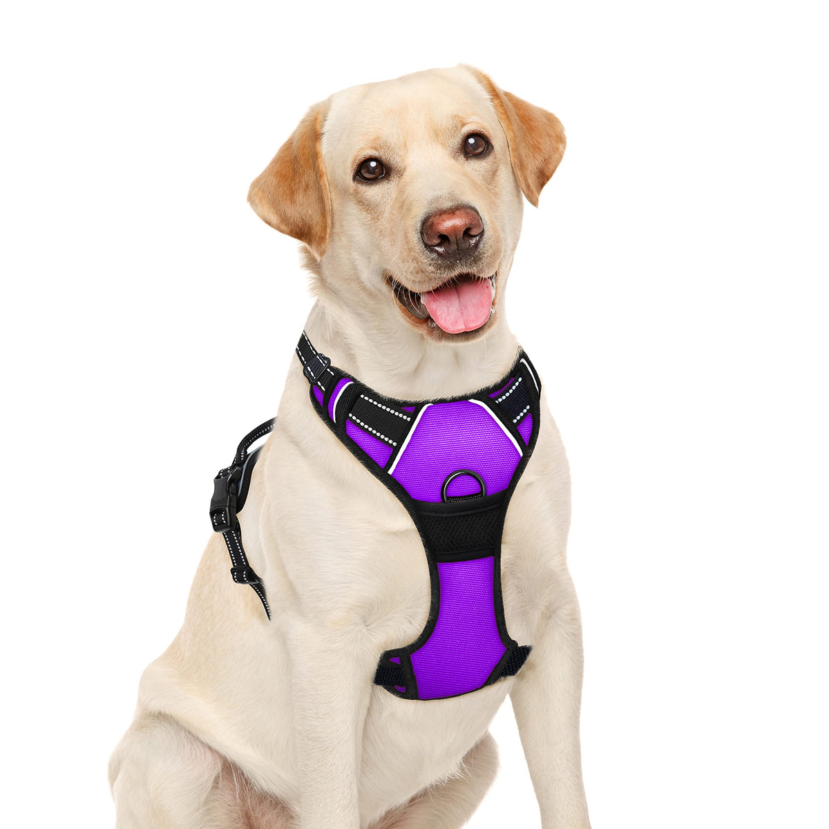 BARKBAY arnés No Pull con clip frontal para entrenamiento sin tirar