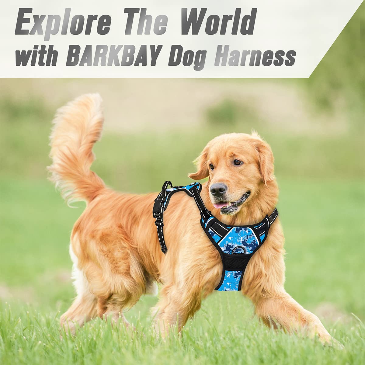 BARKBAY arnés para perros grandes con clips de acero duraderos.