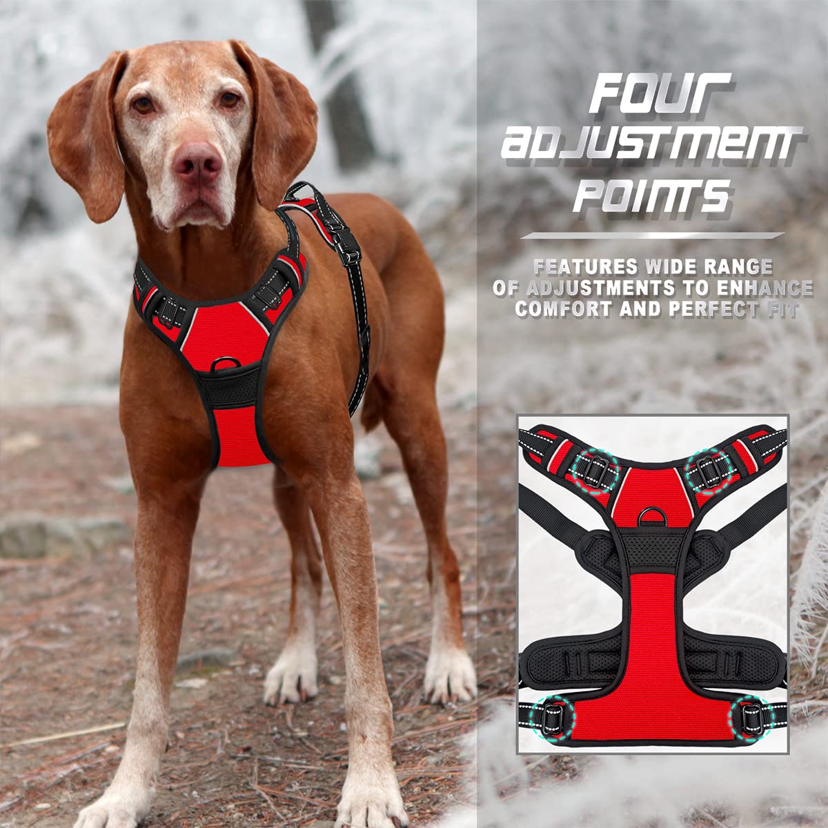 Arnés BarkBay nylon ligero con acolchado anti-fricción para mayor comodidad