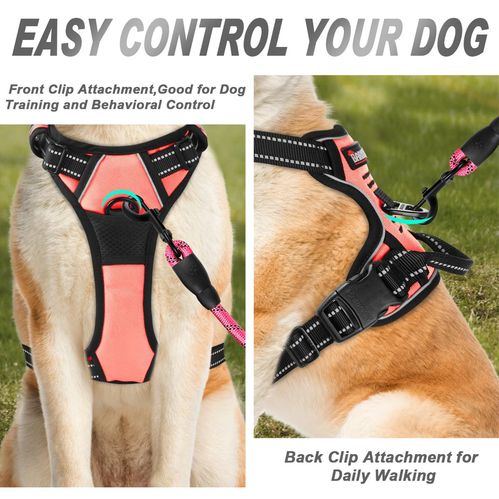 Arnés BarkBay en nylon ligero y acolchado anti rozaduras para mayor comodidad