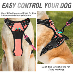 Arnés BarkBay en nylon ligero y acolchado anti rozaduras para mayor comodidad