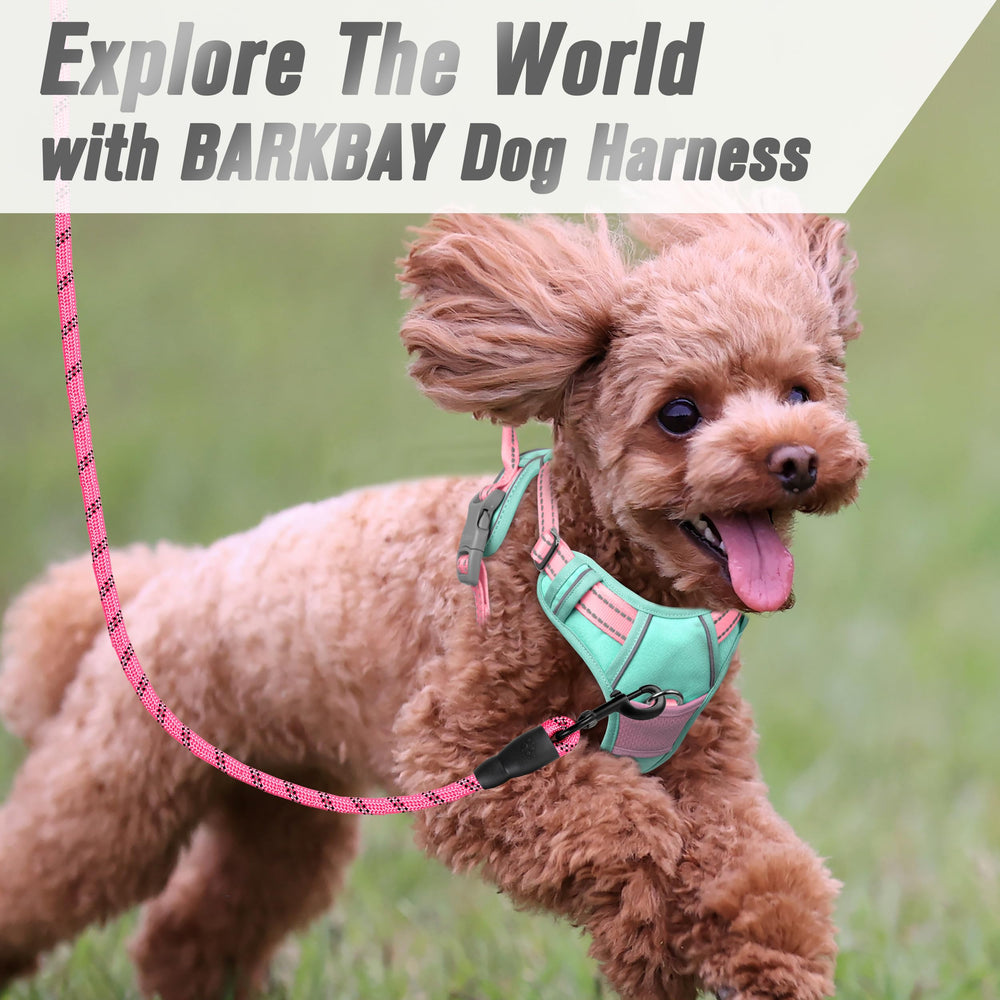 Arnés Barkbay para perros grandes, ideal para caminatas largas y estables.