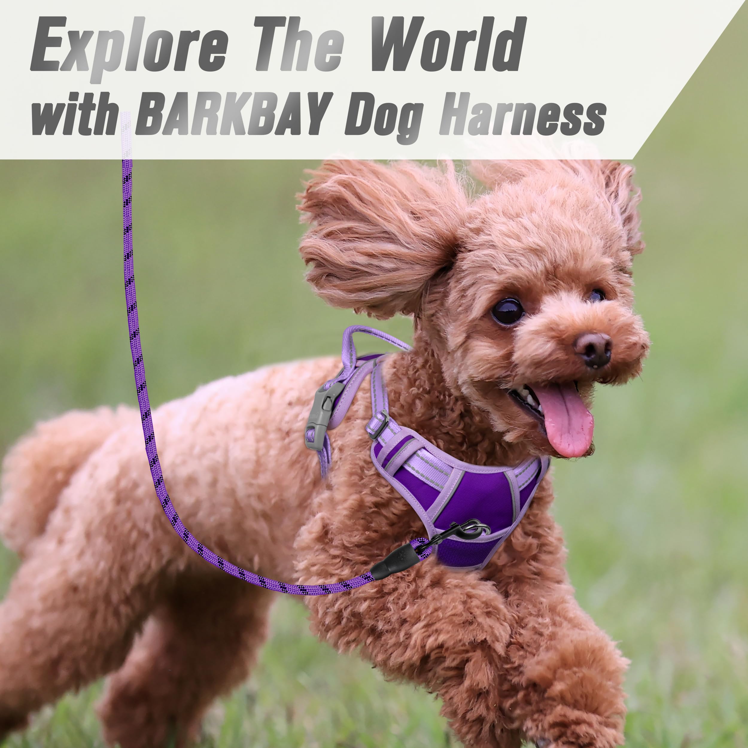 Arnés BarkBay para paseos nocturnos con buena visibilidad.