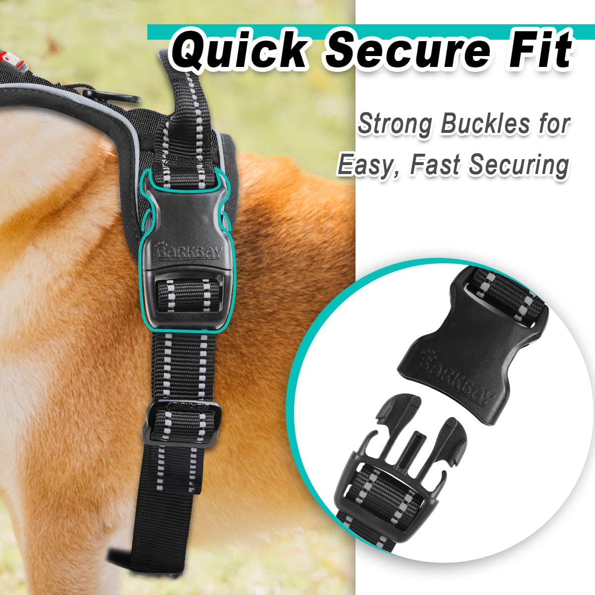 Arnés BarkBay ideal para paseos diarios con perros pequeños.